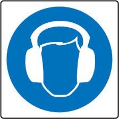 Afbeeldingen van Pikt-o-norm Pictogram gehoorbescherming verplicht 200mm