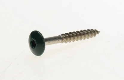 Afbeeldingen van Trespaschr.rvs d.groen t20   4.8x38