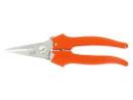 Afbeelding voor categorie Scharen