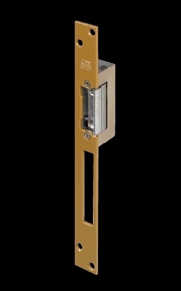 Afbeeldingen van Electrische sluitplaat       17hz16