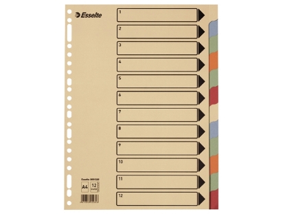 Afbeeldingen van Esselte tabbladen 23rings a4 karton 10dlg gekleurde tabs chamois, 3031025 