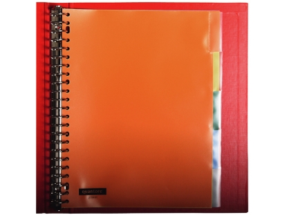 Afbeeldingen van Quantore tabblad 23rings pp 5delig assorti venster, 25492 