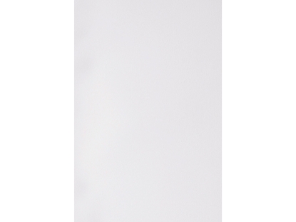 Afbeeldingen van GBC voorblad, 300 micron, a4, verpakking 100 vel, ib386817, polypropyleen, wit