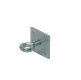 Afbeelding voor categorie Oog op plaat