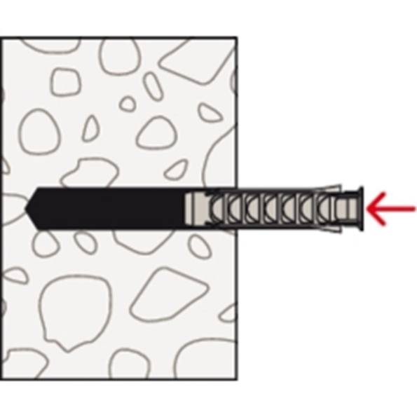 Afbeeldingen van fischer Plug