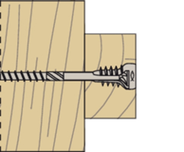 Afbeeldingen van fischer Stelschroef FAFS 5x100 T25
