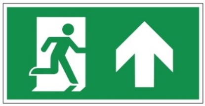 Afbeeldingen van Bord nooduitgang pijl naar boven 200x100mm