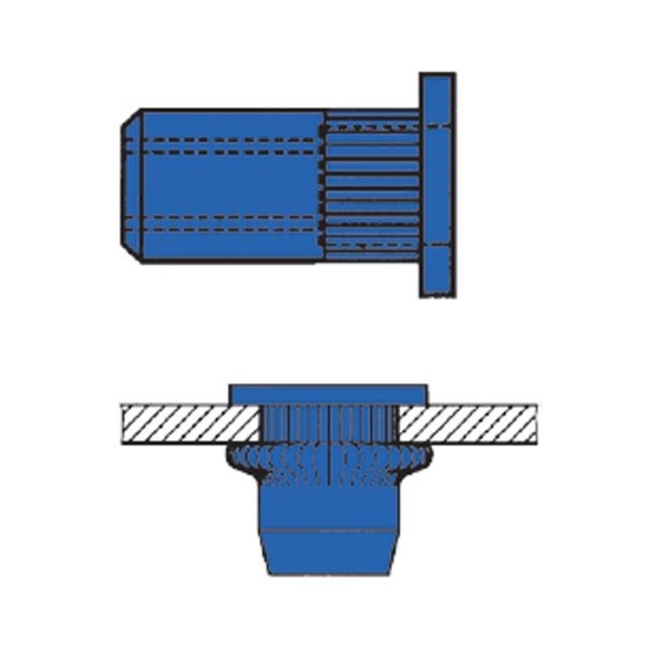 Afbeeldingen van Gesipa Stalen blindklinkmoeren met cilinderkop m8 - 11x17,0