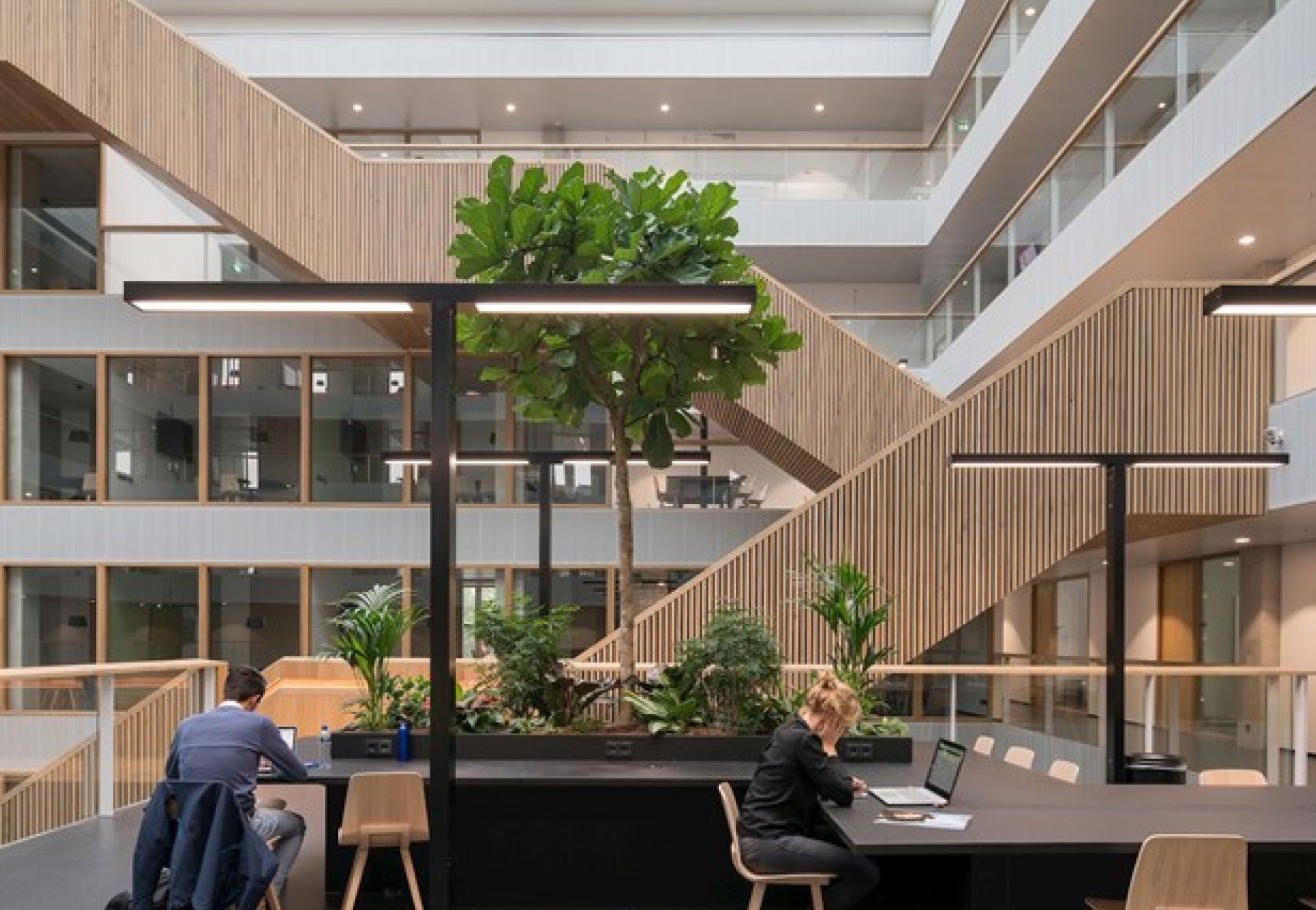 case-detail-main-banner